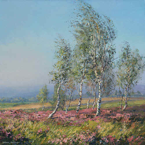 mpsilverbirches.jpg (161258 bytes)